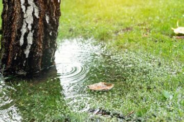 Well Maintenance After Flooding